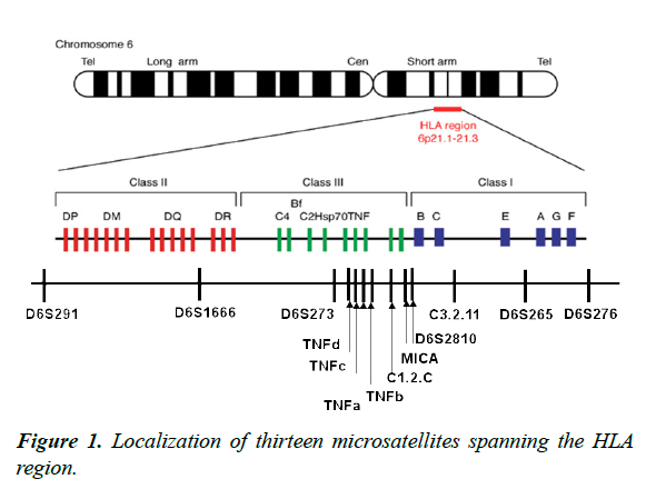 genetics-molecular-biology-microsatellites-spanning