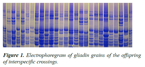 journal-agricultural-science-grains