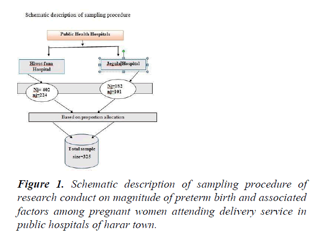 public-health-policy-planning-sampling-procedure