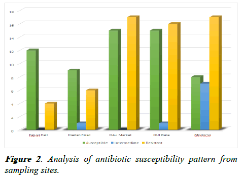 AAFMY-antibiotic