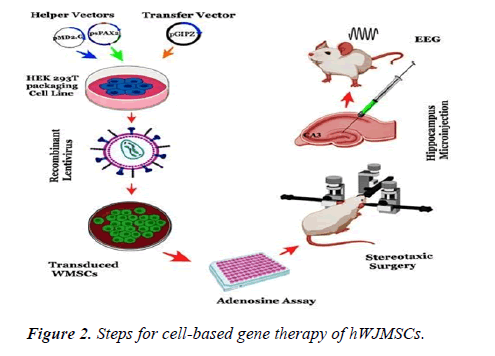 AAJBN-gene