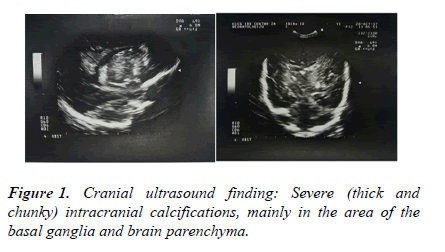 AAJCP-ultrasound