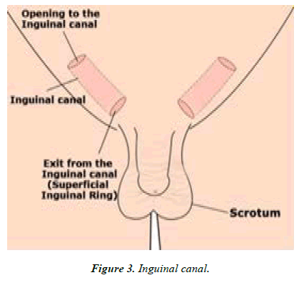 Asian-Biomedical-canal