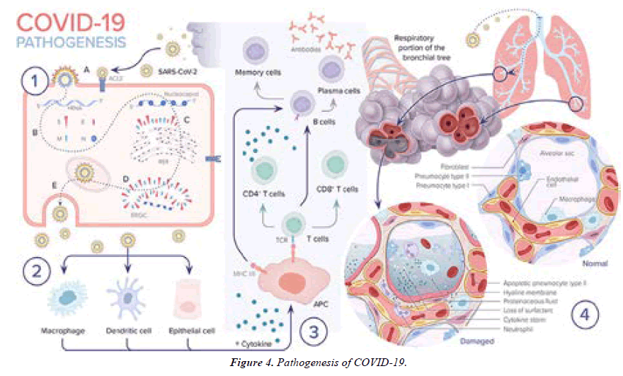 Asian-Biomedical-collection-Pathogenesis