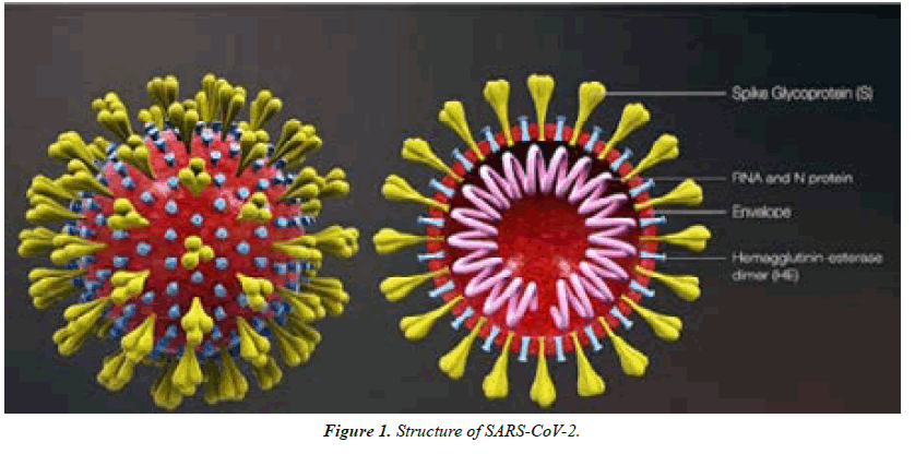 Asian-Biomedical-collection-Structure