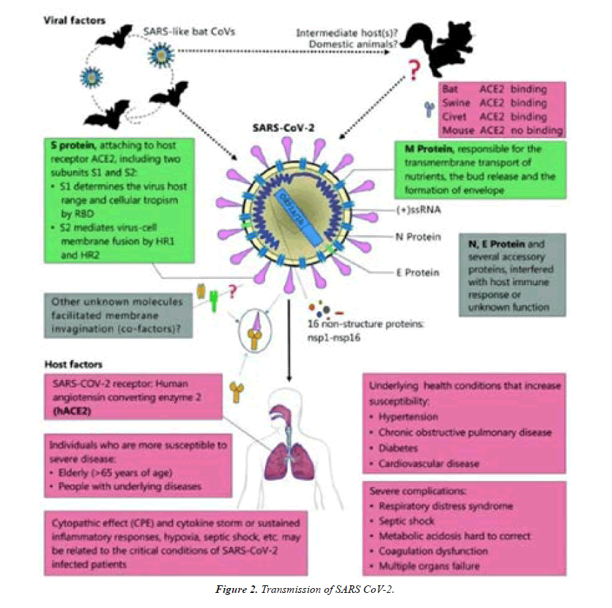 Asian-Biomedical-collection-Transmission