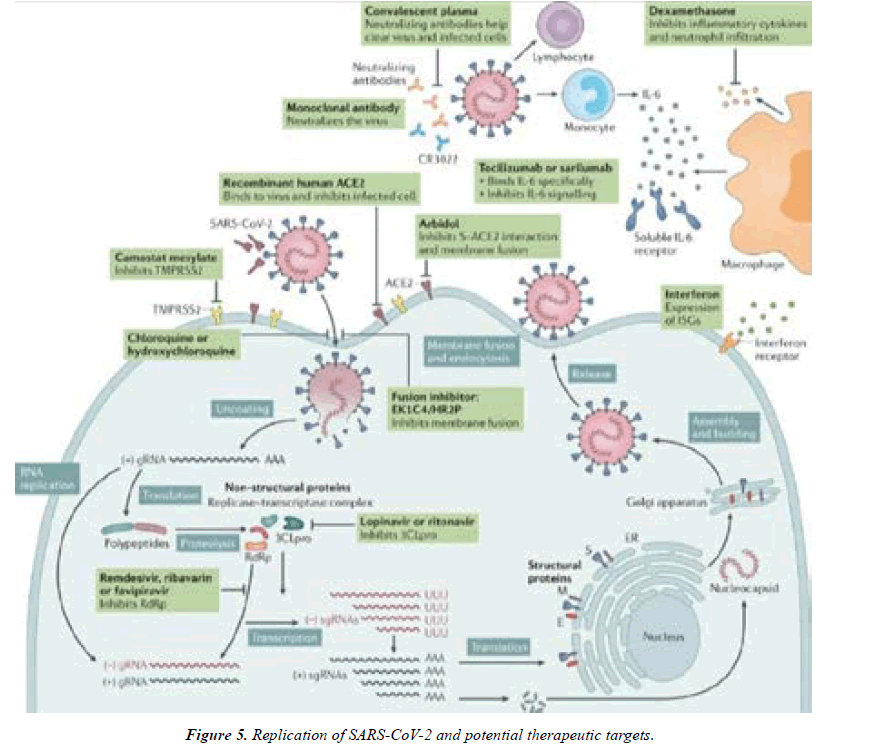 Asian-Biomedical-collection-targets