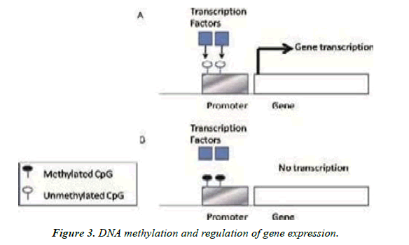 Asian-Biomedical-expression