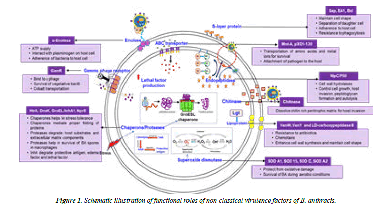 Asian-Biomedical-functional