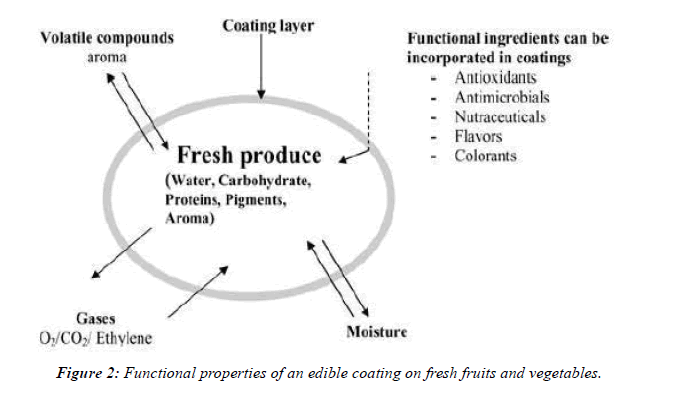 Food-Technology-vegetables