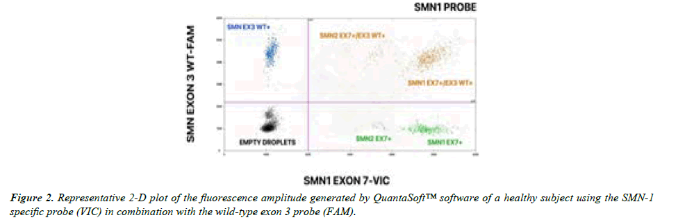 Genetics-Molecular-fluorescence