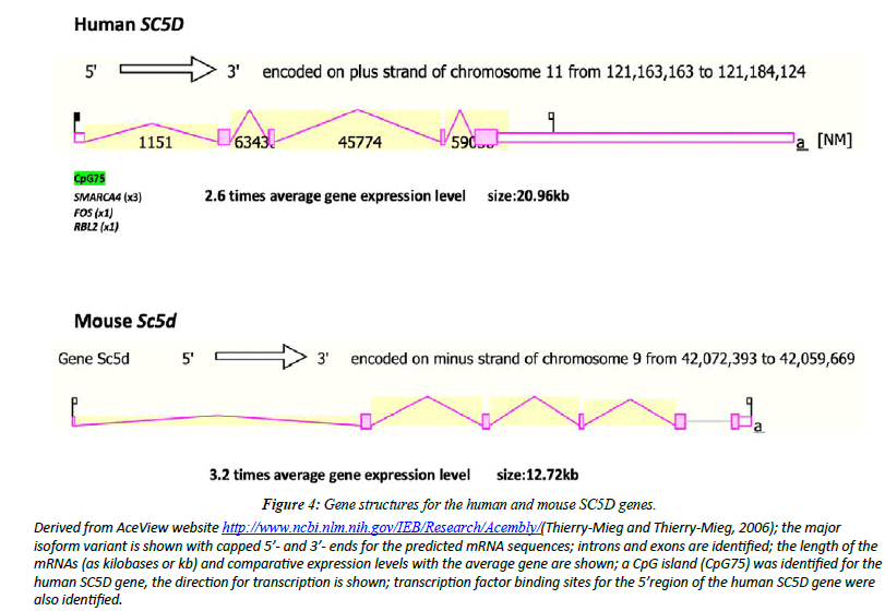 Genetics-Molecular-human