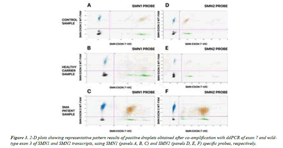 Genetics-Molecular-positive