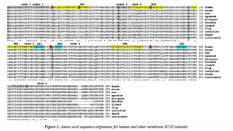 Genetics-Molecular-sequence