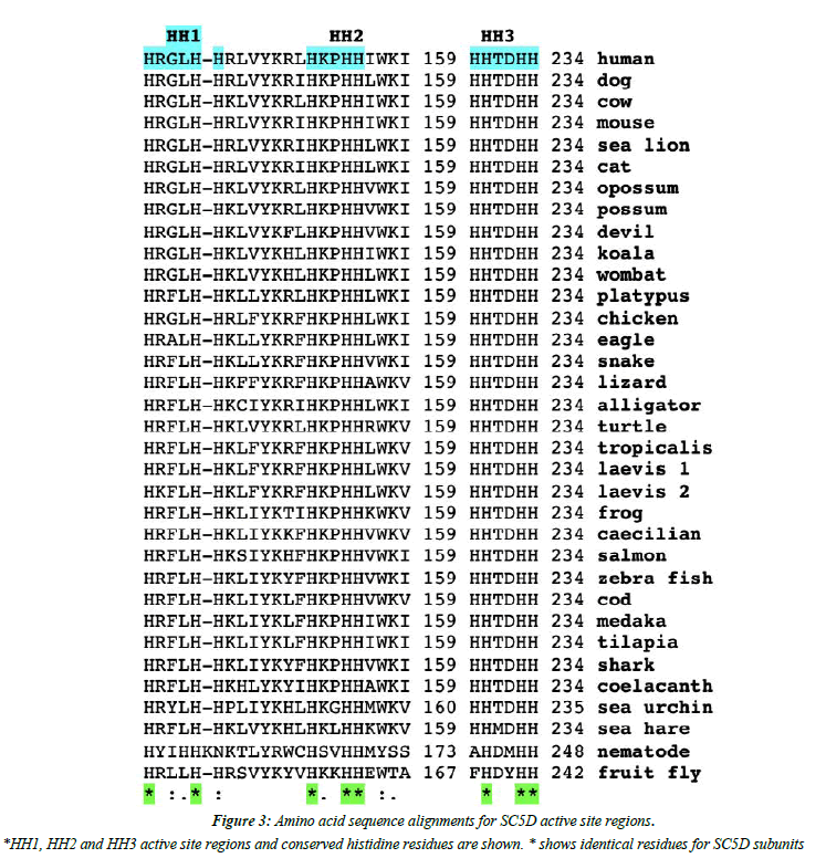 Genetics-Molecular-sequence