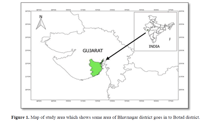 International-Pure-Bhavnagar