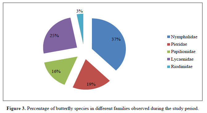 International-Pure-families