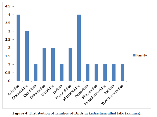 International-Pure-families