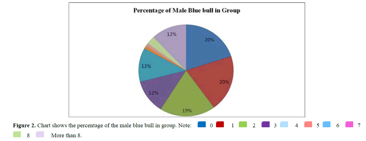 International-Pure-male