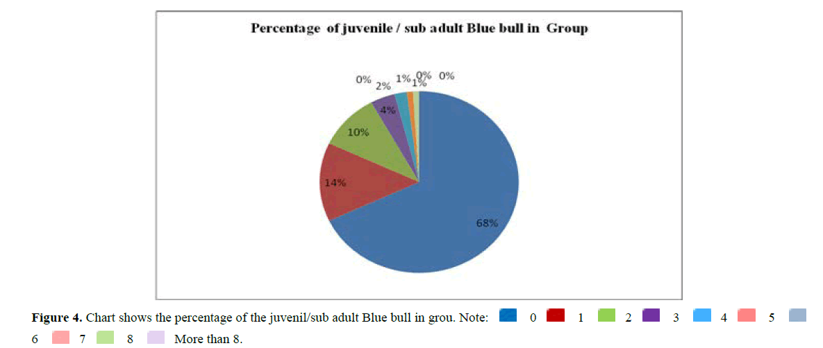 International-Pure-male