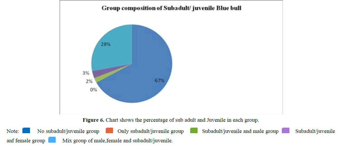 International-Pure-male