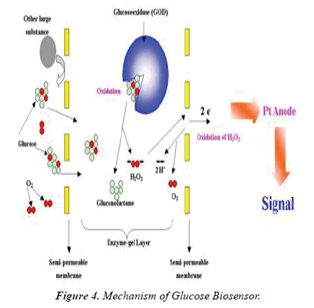 Material-Science-Mechanism