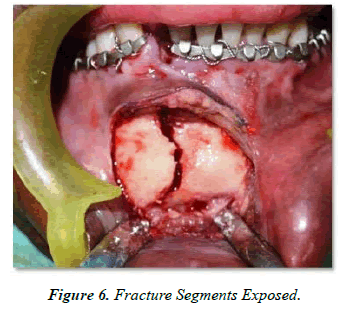 Oral-Medicine-Segments