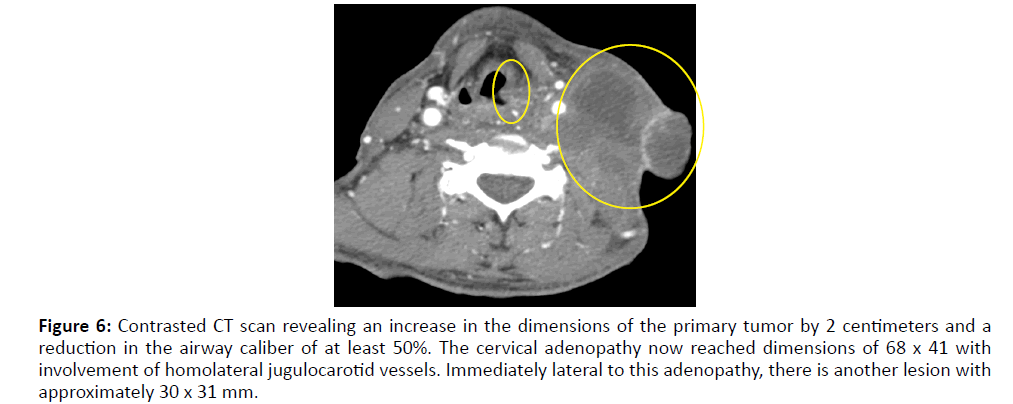 Otolaryngology-dimensions