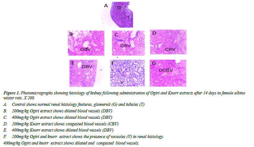 Plant-Biotechnology-histology