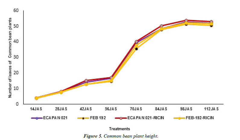 agricultural-science-height