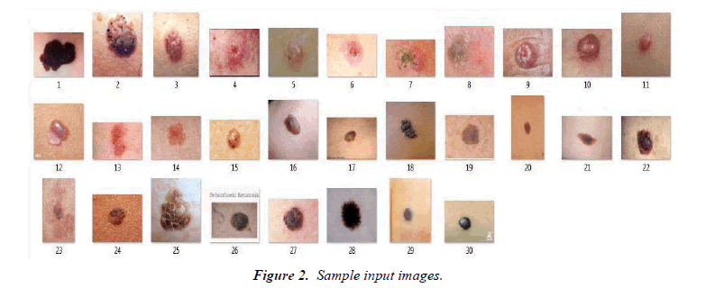 biomedical-imaging-input