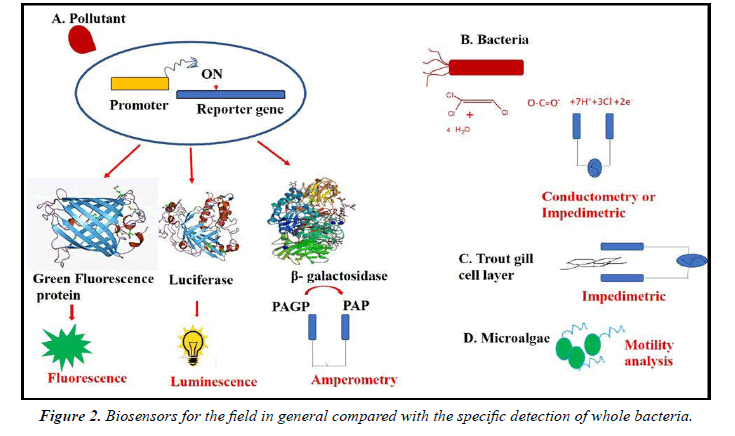 chemical-technology-bacteria