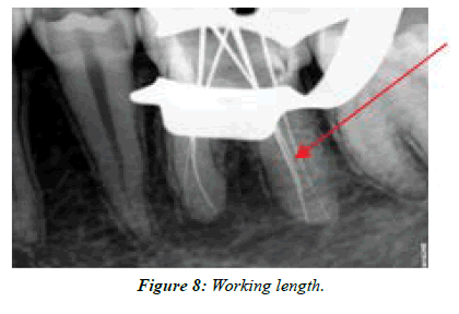 clinical-dentistry-length