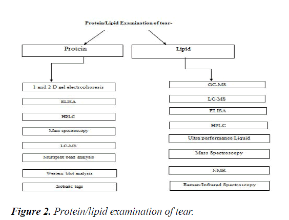 clinical-examination