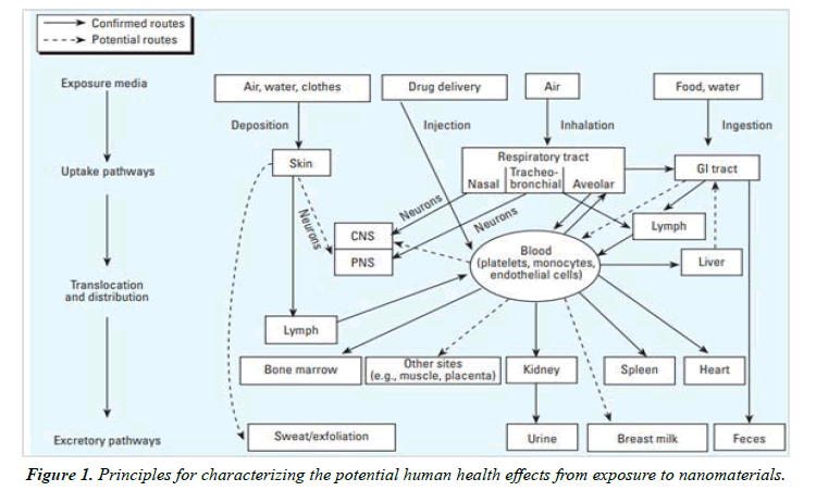 clinical-experimental-exposure