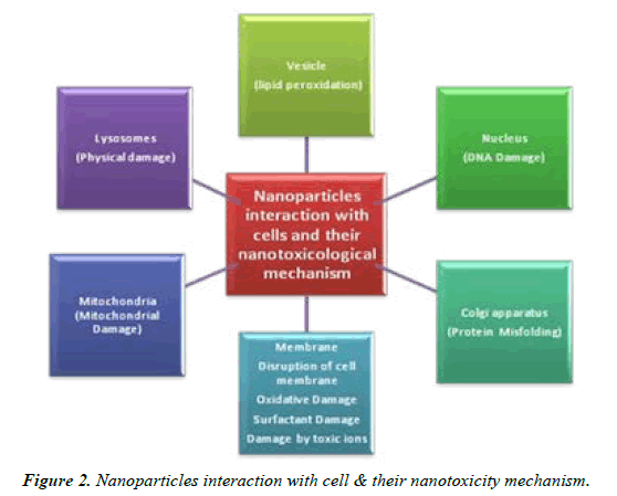 clinical-experimental-mechanism