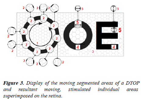 clinical-ophthalmology-segmented