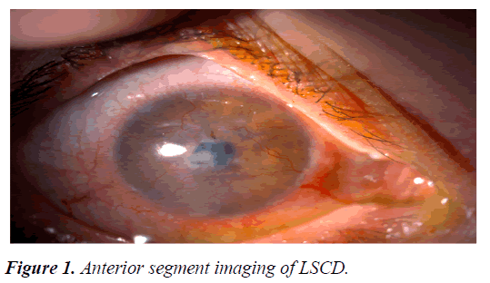 clinical-segment