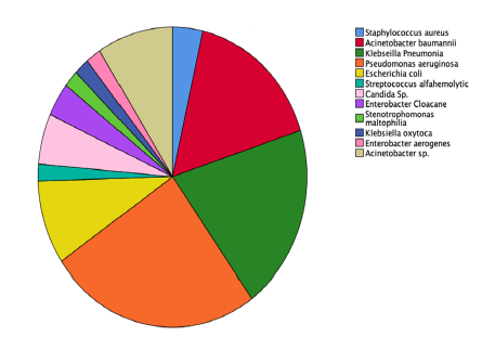 current-pediatric-pie