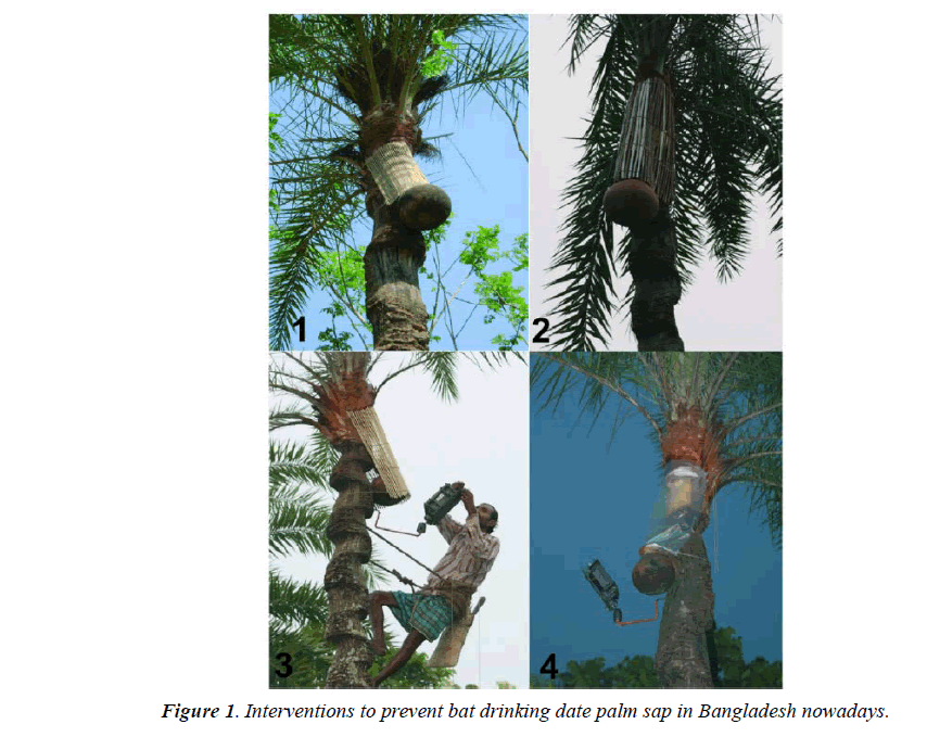 food-microbiology-tree