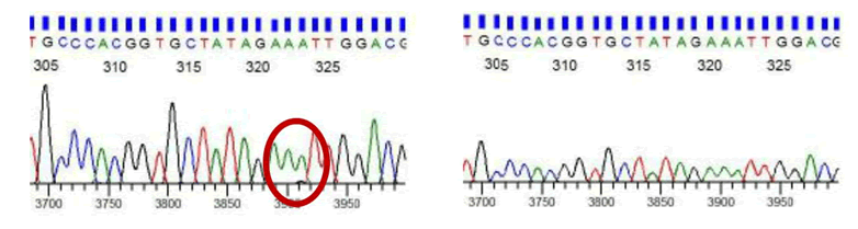 genetics-molecular-biology