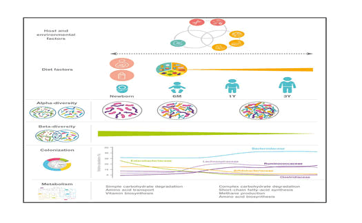 journal-food-science-nutrition