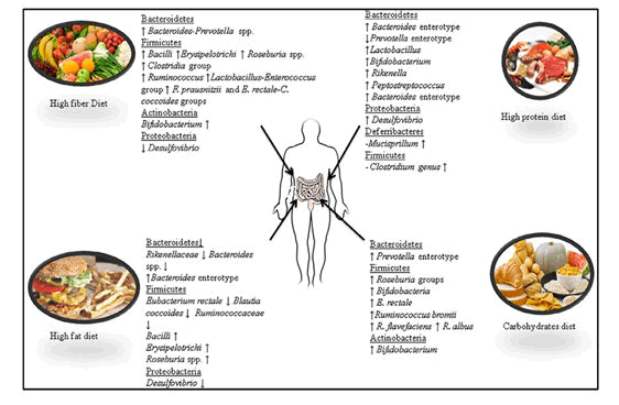 journal-food-science-nutrition