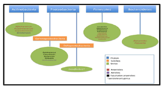 journal-food-science-nutrition