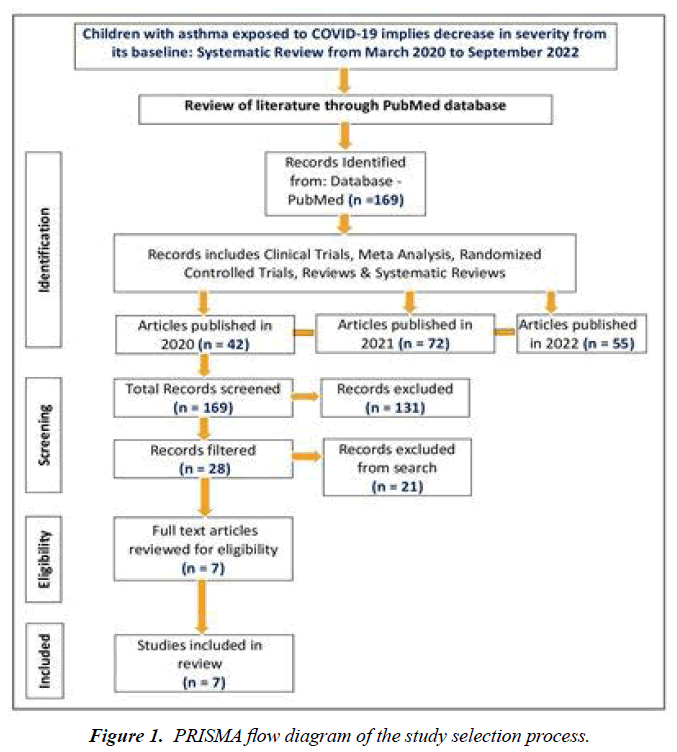 medical-research-flow-diagram