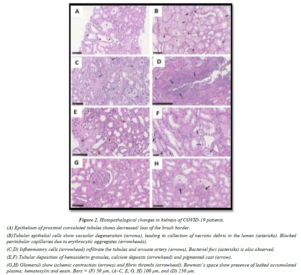 pathology-biology-proximal