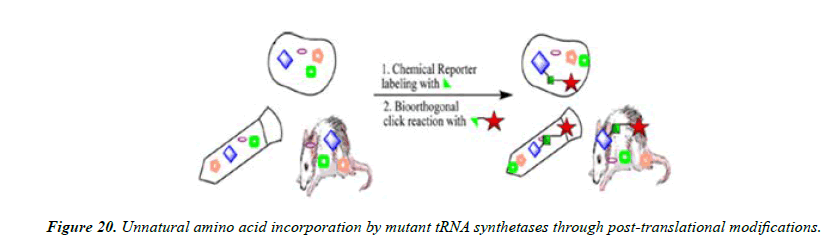 pharmaceutical-chemistry-translational