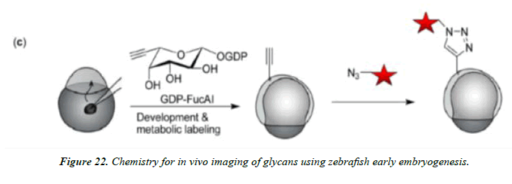 pharmaceutical-chemistry-zebrafish