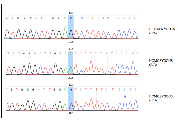 rna-genomics-ampplicons