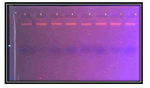 rna-genomics-blood